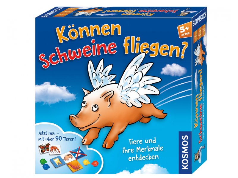 Fliegen Spiele Fliegen Spiele