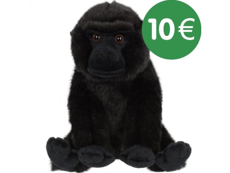 Gorilla Bas Spielen Gorilla Bas Spielen